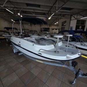 Sun Prince 220 Mercury